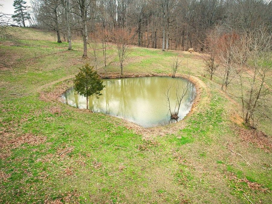 Property Image 97