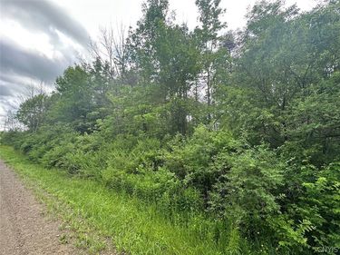 Townline Road , Angelica, NY 14709