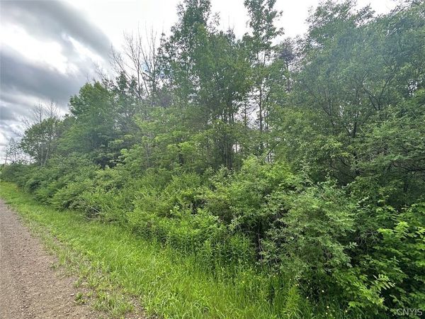 Townline Road, Angelica, NY 14709