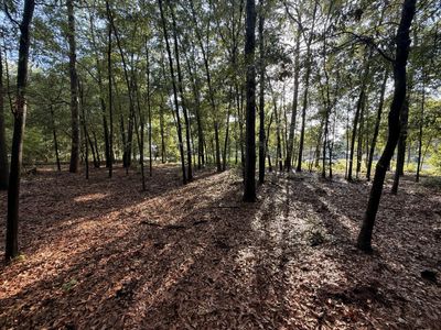 100 Triangle Drive, Summerton, SC 29148