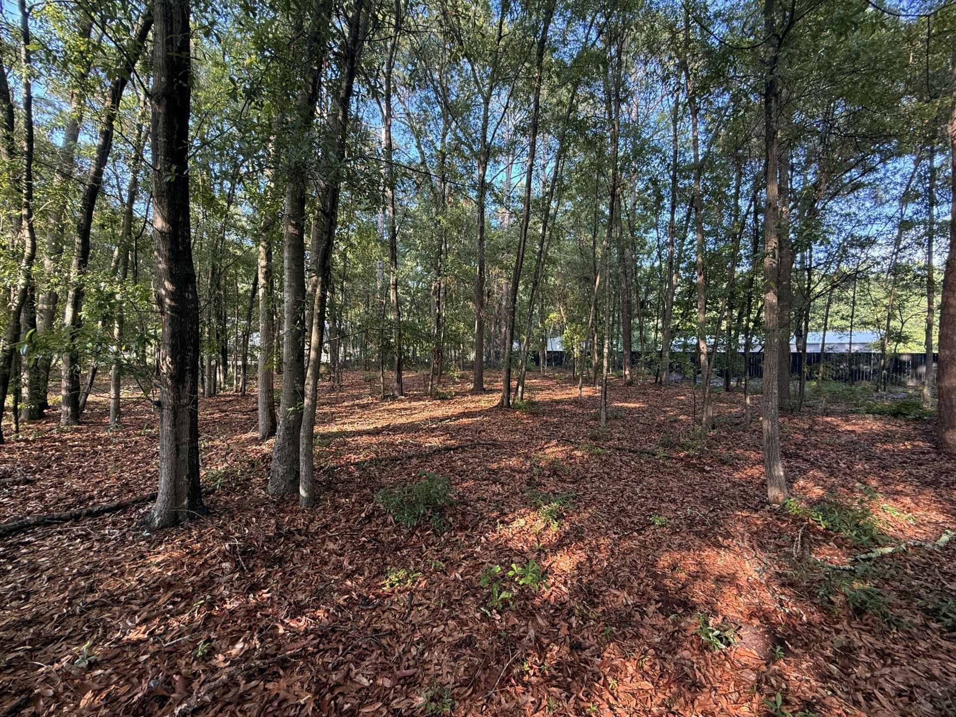 100 Triangle Drive Photo 4