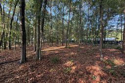 100 Triangle Drive photo 4