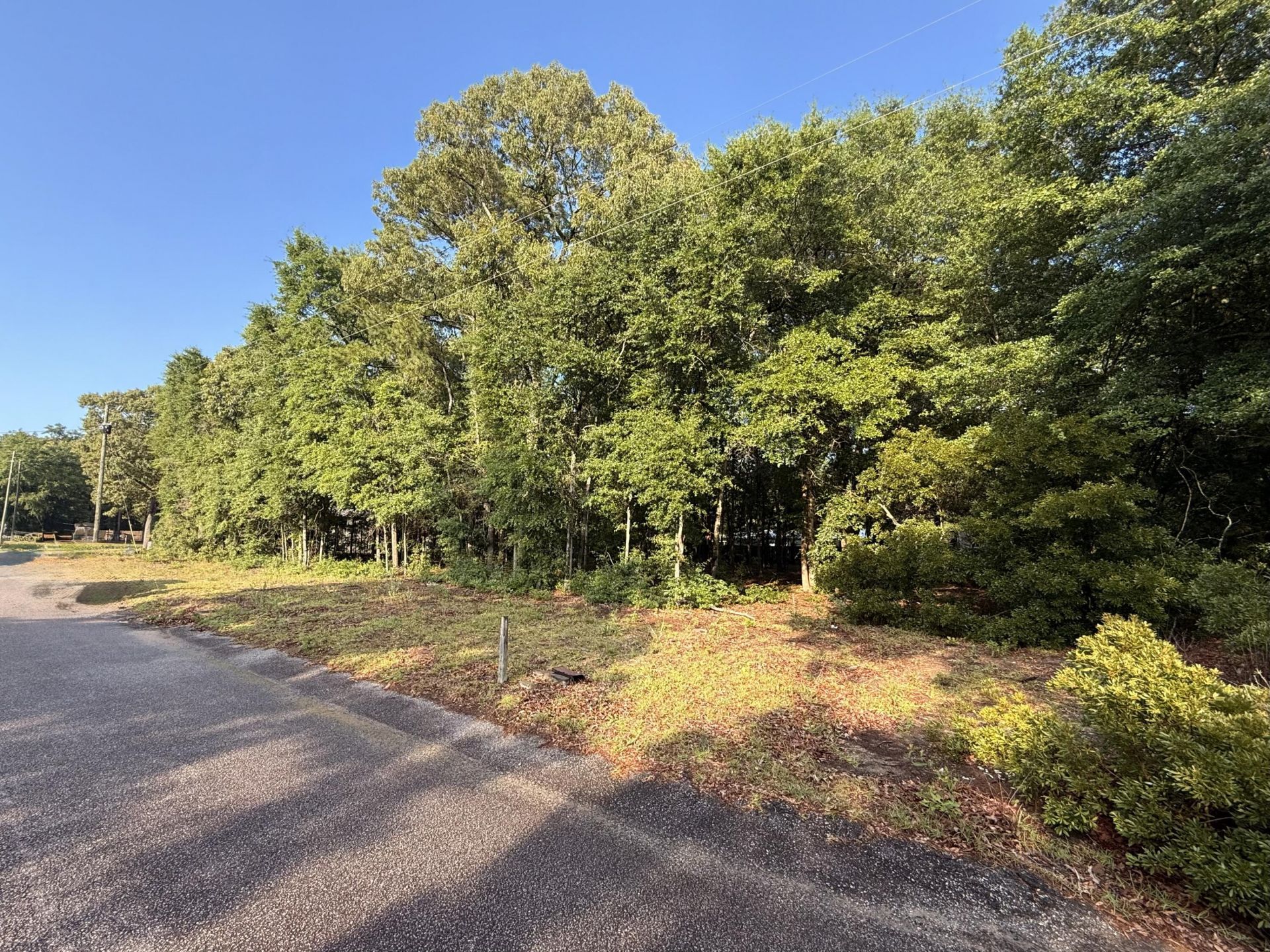 100 Triangle Drive Photo 5