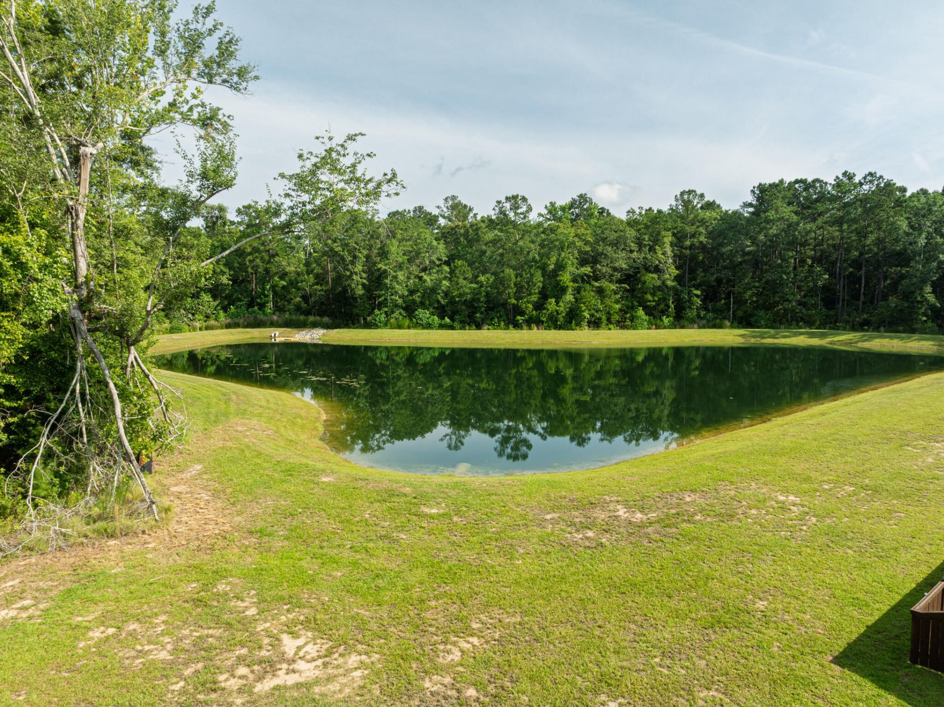 307 Green Fern Drive Photo 31