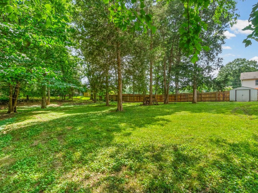 Property Image 41