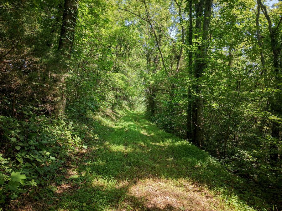 Property Image 14