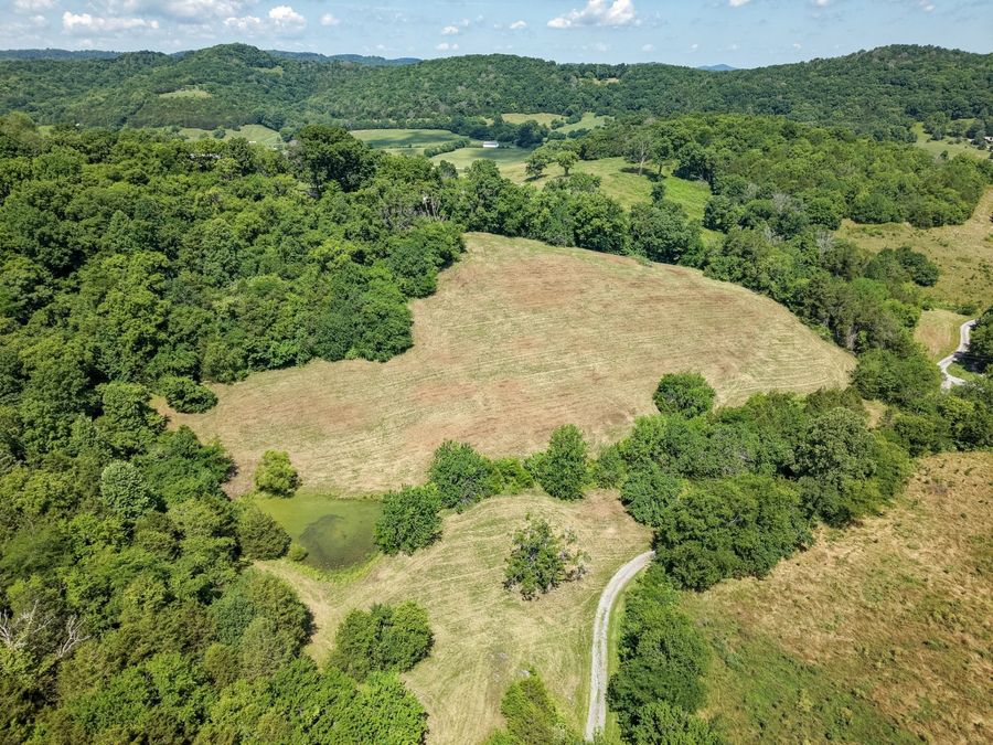 Property Image 19