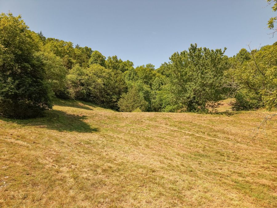 Property Image 25