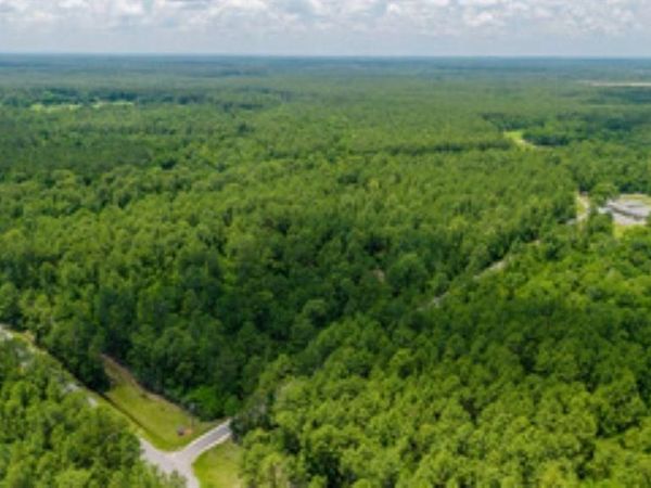 0 Roberts Chapel Road, Mobile, AL 36608