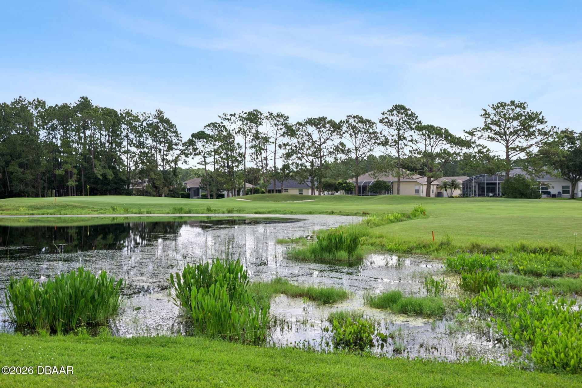 6443 Renaissance Drive, Port Orange, FL 32128 Photo