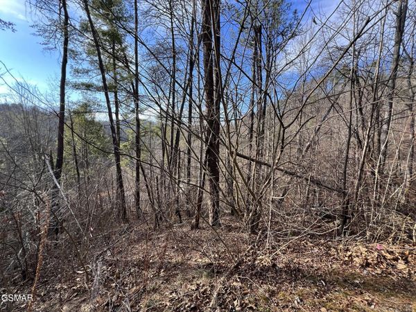 2331 Willow Lane , Unit 4R, Sevierville, TN 37862