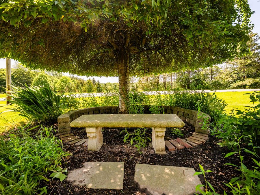 Property Image 44