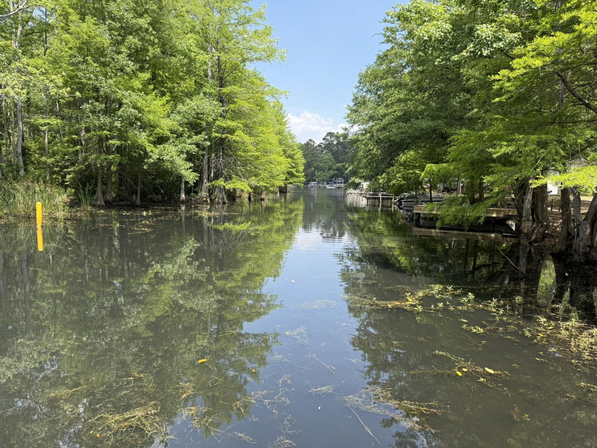 194 Lime Spring Road Photo 8