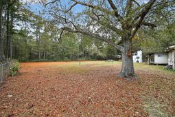 8345 Highway 917  photo 4