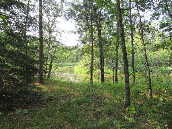 LOTS 5-11 TBD FRONT STREET FRONT STREET , Pine River, MN 56474