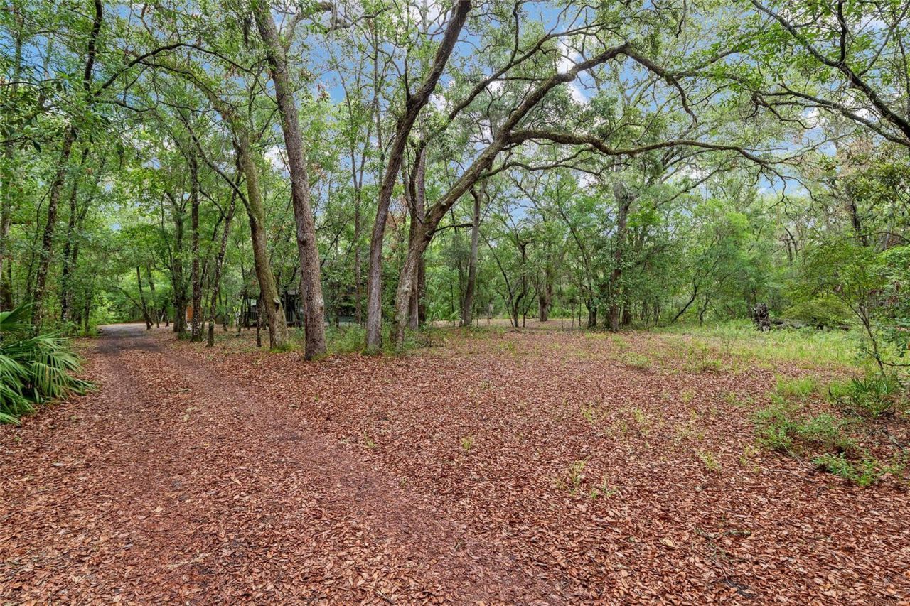 7622 SE County Road 234 , Gainesville, FL 32641 Photo