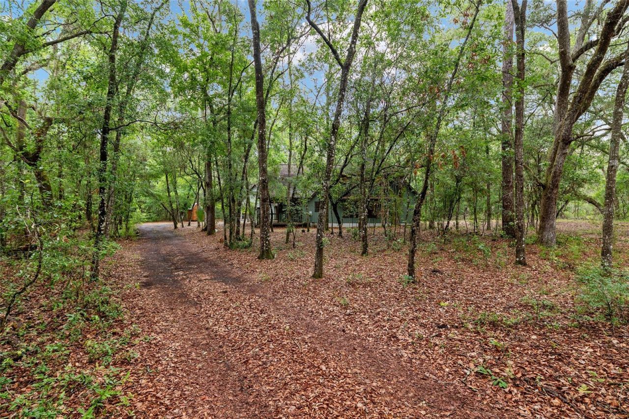 7622 SE County Road 234 , Gainesville, FL 32641 Photo