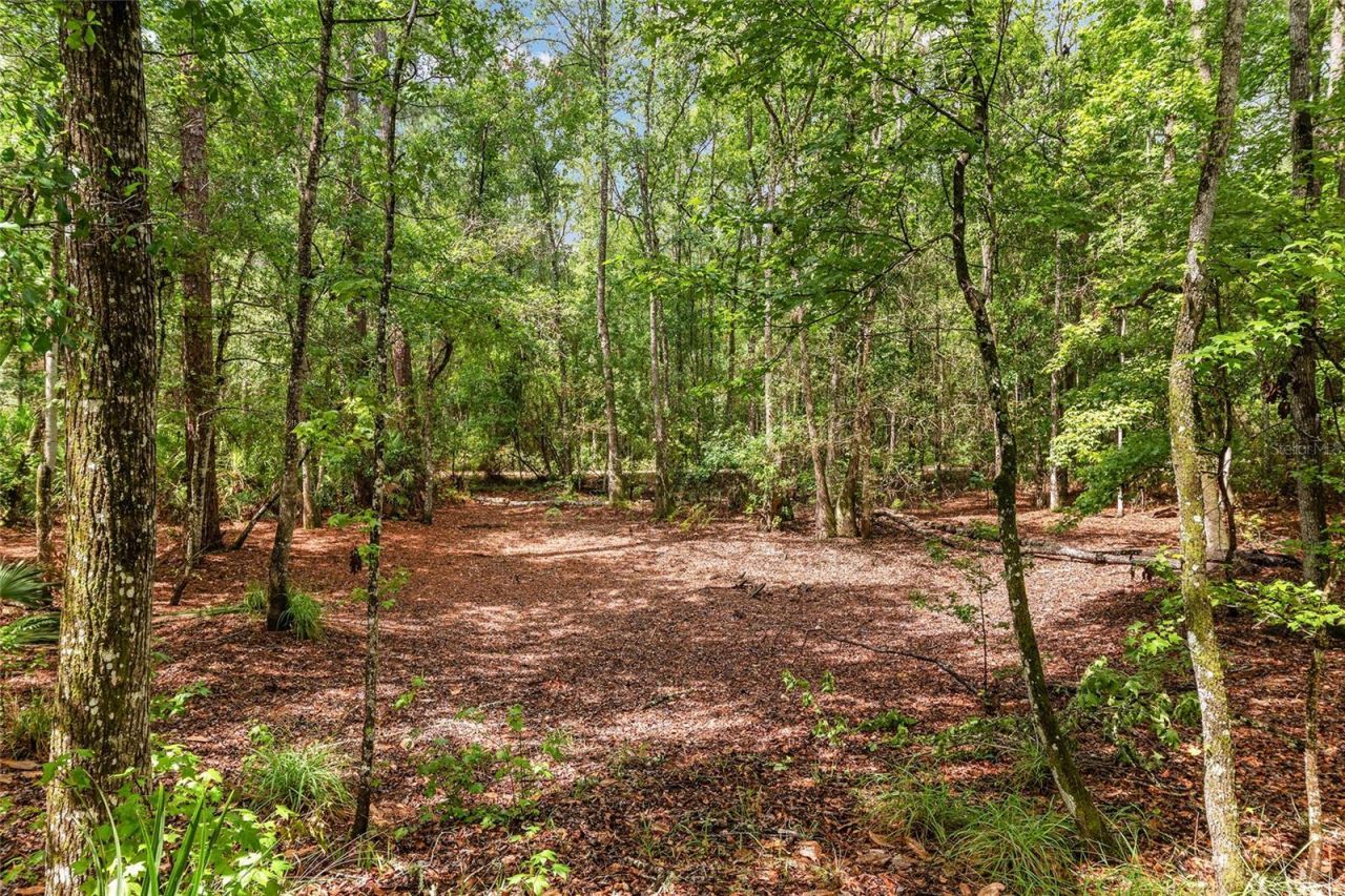 7622 SE County Road 234 , Gainesville, FL 32641 Photo