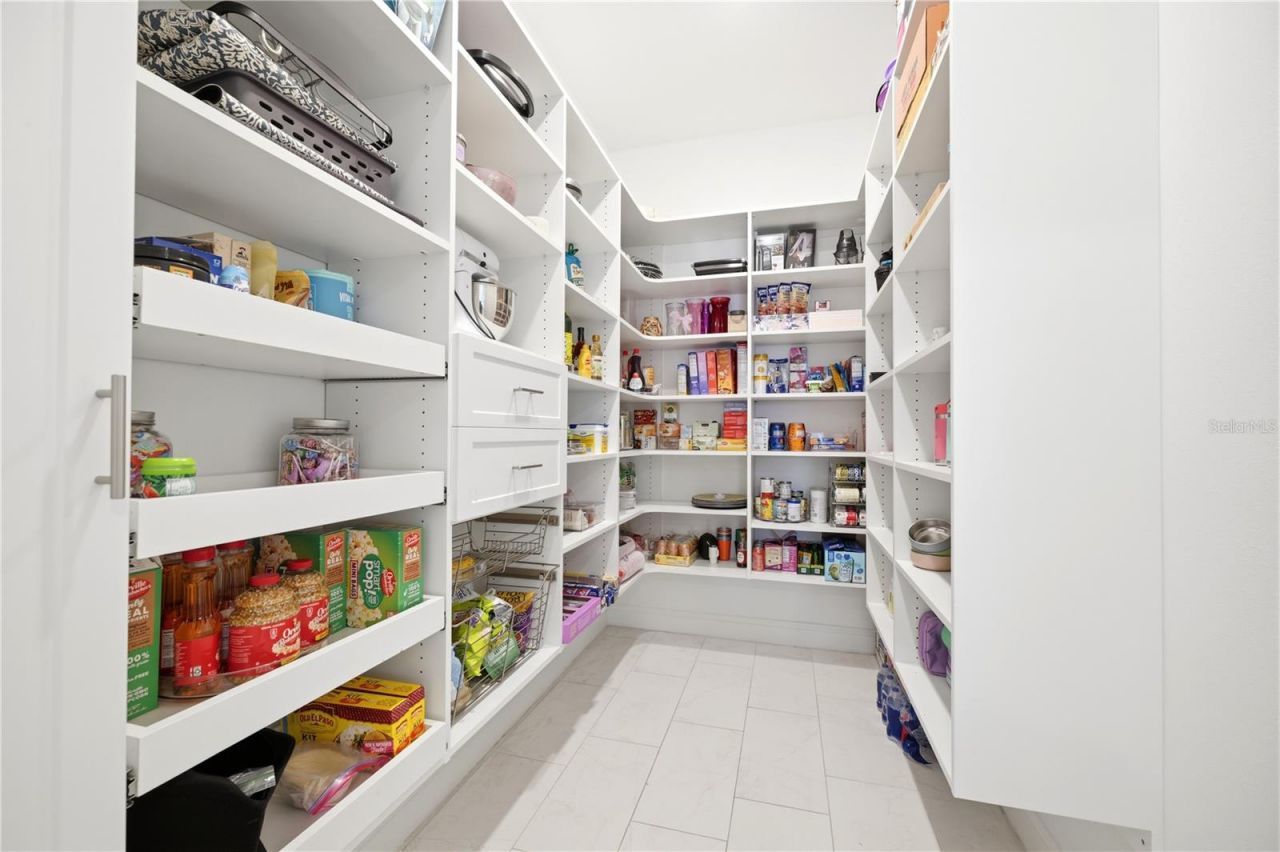 2340 White Dogwood Loop, Lutz, FL 33549 Photo