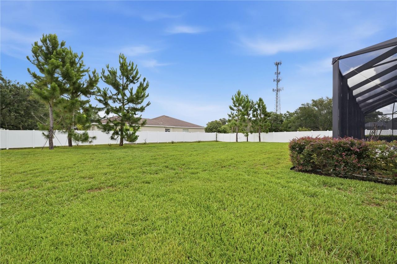 2340 White Dogwood Loop, Lutz, FL 33549 Photo