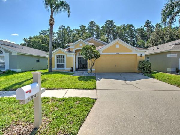 30914 BURLEIGH DRIVE , WESLEY CHAPEL, FL 33543