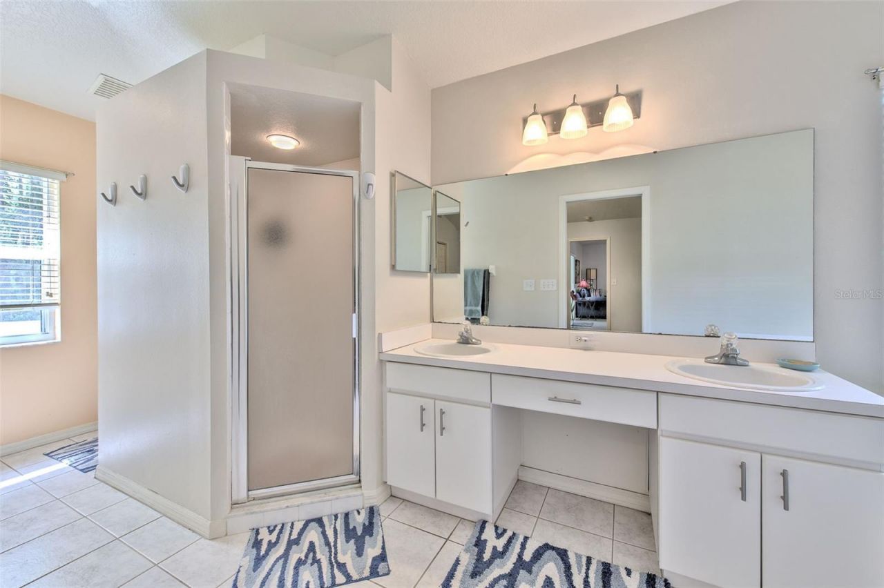 30914 Burleigh Drive , Wesley Chapel, FL 33543 Photo