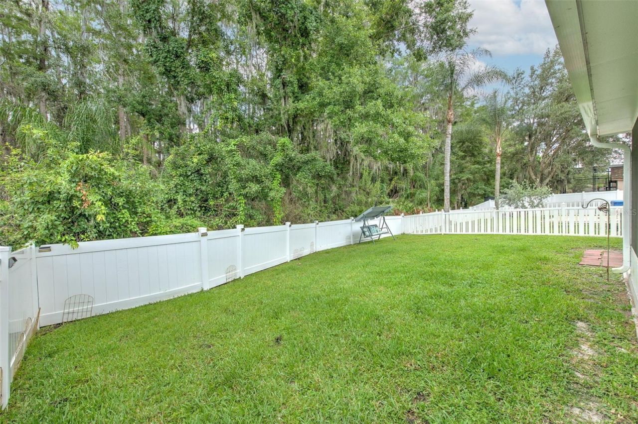 30914 Burleigh Drive , Wesley Chapel, FL 33543 Photo