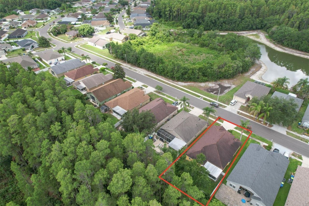 30914 Burleigh Drive , Wesley Chapel, FL 33543 Photo