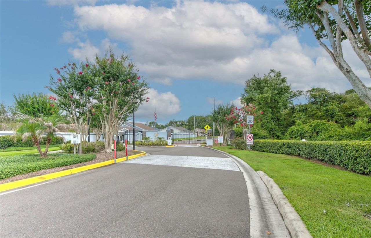 30914 Burleigh Drive , Wesley Chapel, FL 33543 Photo
