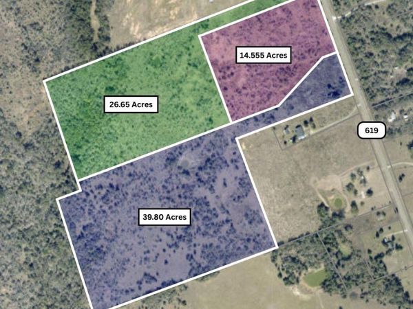 TBD FM 619 , Thrall, TX 76578