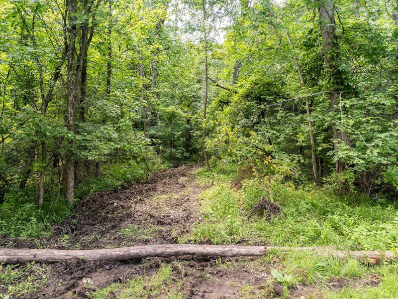 6343 Cook Road, Powell, OH 43065 Photo 76