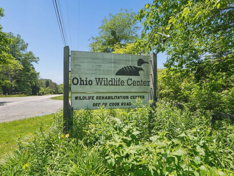 6343 Cook Road, Powell, OH 43065 Photo 87