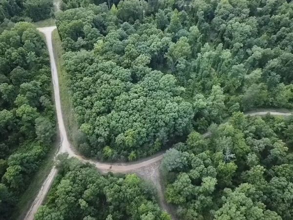 94 Beaver Ln , Unit 94, Saulsbury, TN 38067