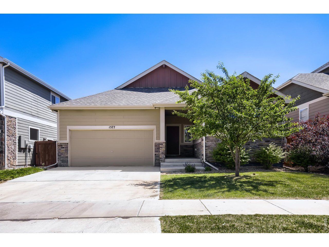1577 First Light Dr, Windsor, CO 80550 Main Photo