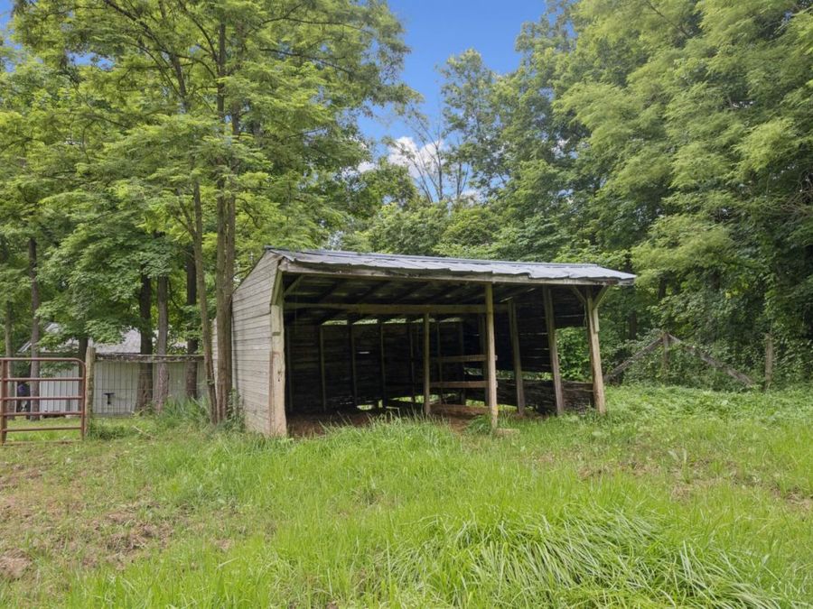 Property Image 42