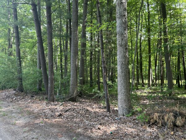 11409 Heather Lane, Unit 35, Canadian Lakes, MI 49346