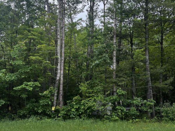 L163-165 N St. Helen Road, Roscommon, MI 48653