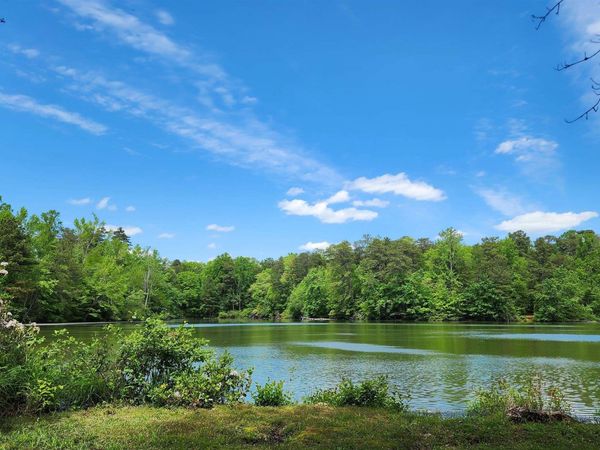 390 Moon Lake Road, Mentone, AL 35984