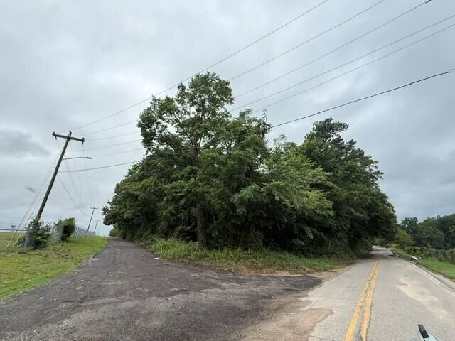 692 Murray Street Photo 6