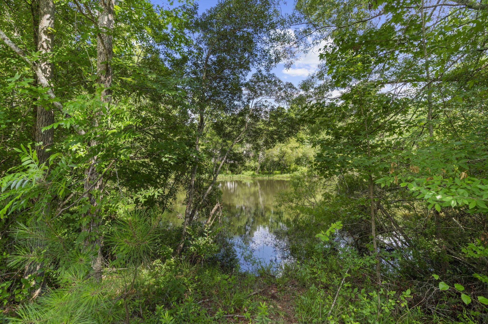 118 Rusting Link Road Photo 46
