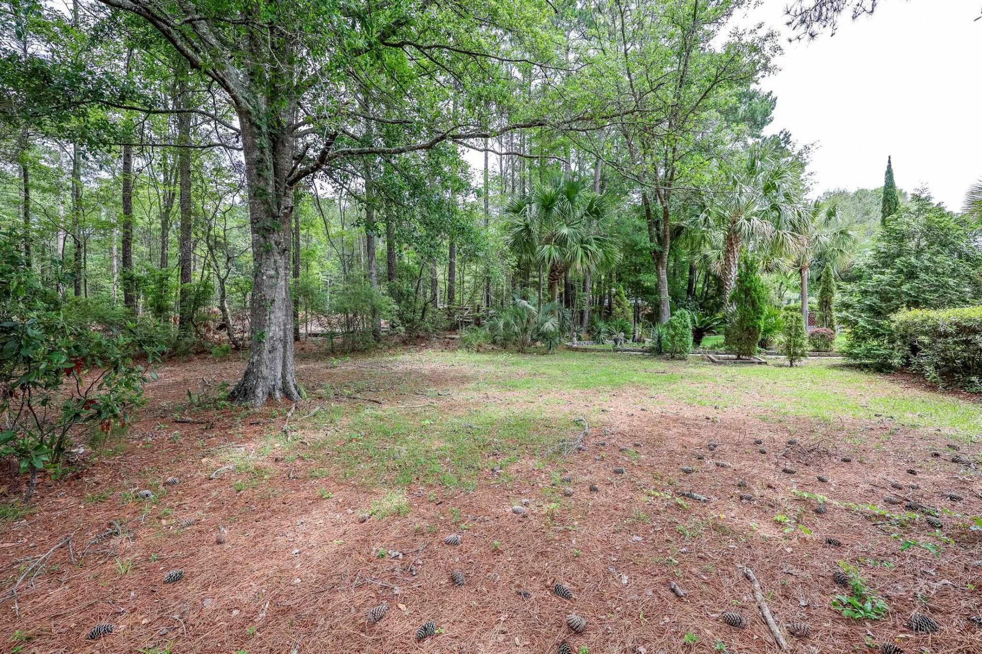 120 Cooper River Rd.  Photo 32