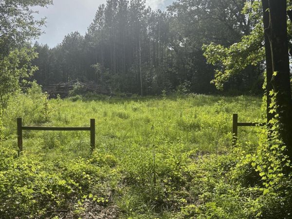 8119 Dry Grove Road, Raymond, MS 39154
