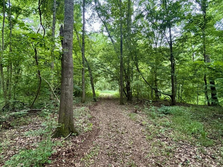 Property Image 21