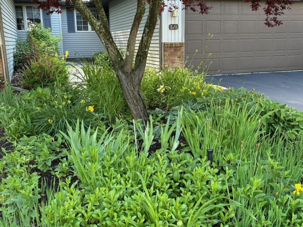 828 Highbanks Drive, Unit 21, Allegan, MI 49010