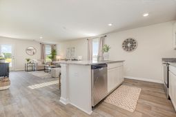 125 Country Grove Way photo 4