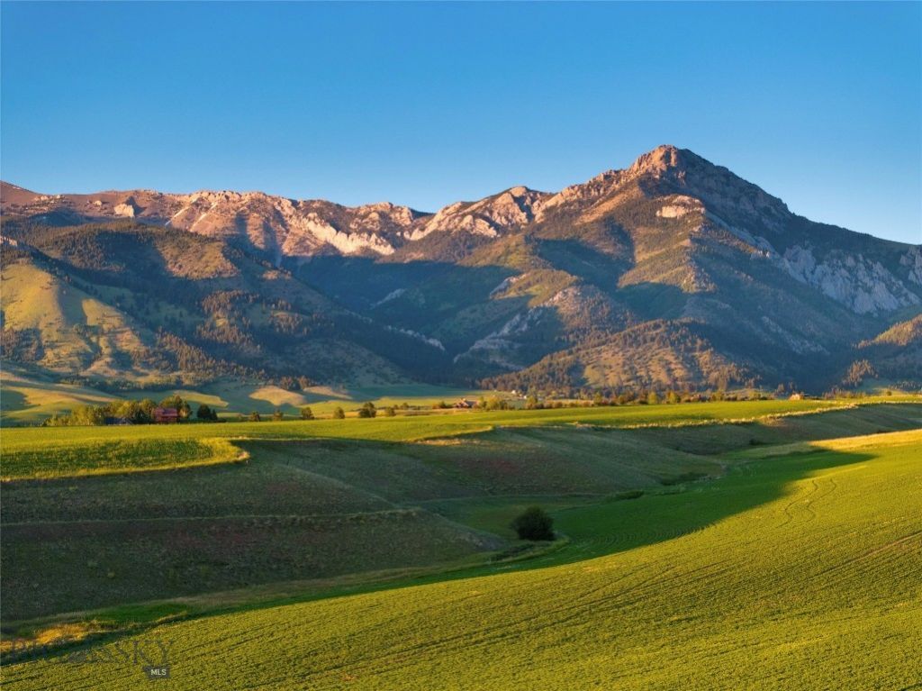 Tbd Walker/forswall , Belgrade, MT 59714 Main Photo