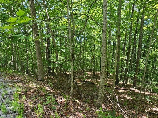 Lot 555 Oak Leaf Lane, Dunlap, TN 37327