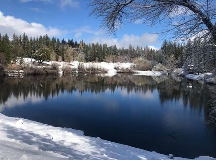 1154 Heather Dr, Murphys, CA 95247 Photo
