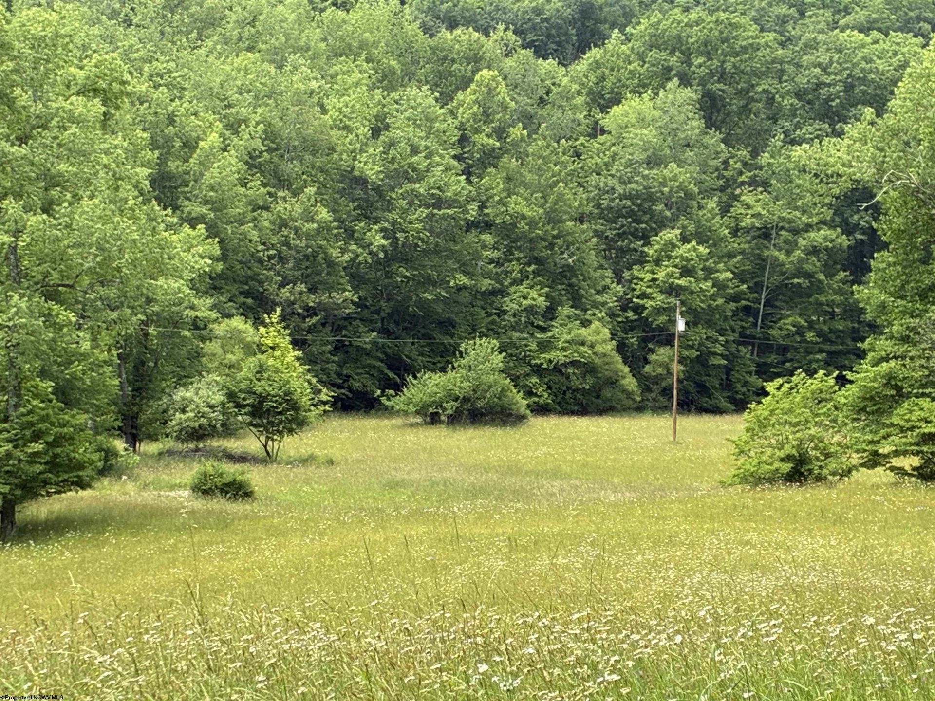 1168 Heaston Ridge Road, Crawford, WV 26343 Main Photo