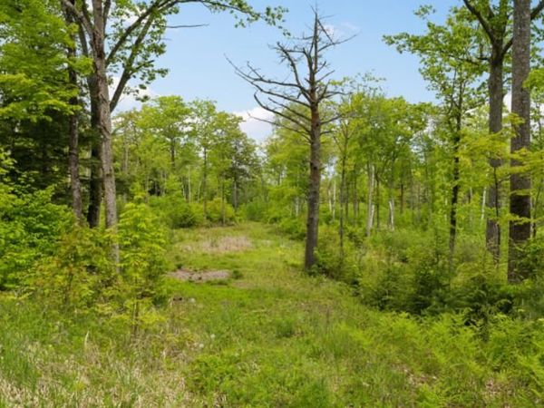 00 Corno Road, Unit Lot 7, Canaan, NH 03741